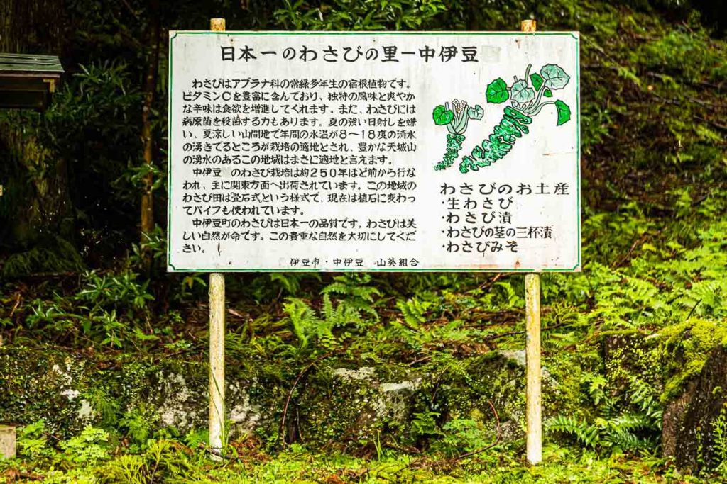 Hinweisschild zum Wasabi-Anbau auf der Halbinsel Izu, Japan / © Foto: Georg Berg