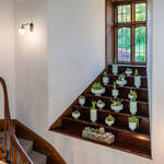 Dekorations-Inspirationen findet man in einem Haus von Olga Polizzi in jeder Ecke. Hier Fenster mit Kaktus-Sammlung in Hotel Endsleigh in West Devon, England / © Foto: Georg Berg