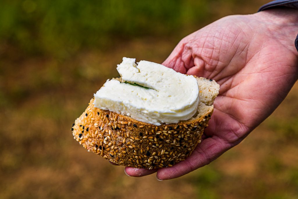 Die Herstellung von Hellim braucht acht Stunden Zeit. Die Käsespezisliät aus Nordzypern kann frisch gegessen werden. Wird aber meist in der Pfanne gebraten oder gegrillt / © Foto: Georg Berg