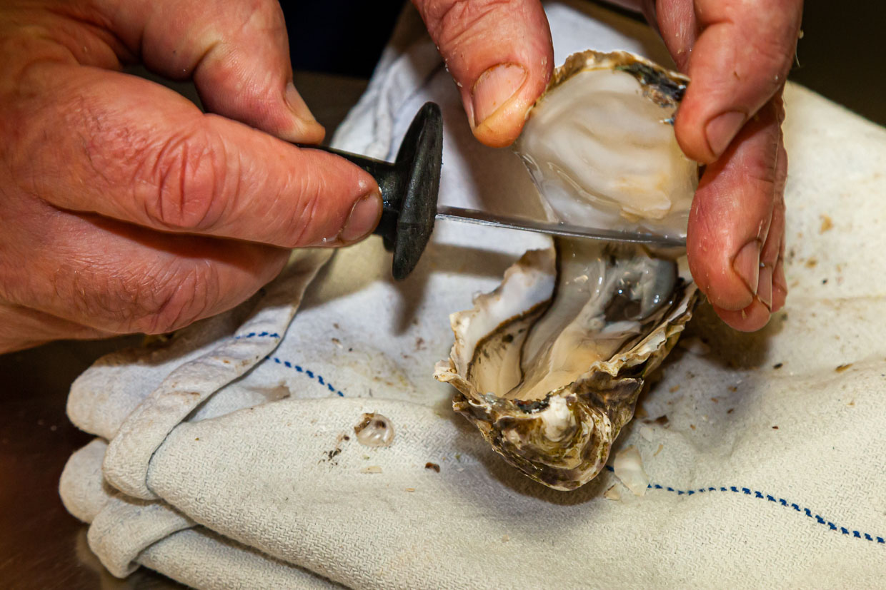 Abrir una ostra con el cuchillo para ostras / © Foto: Georg Berg
