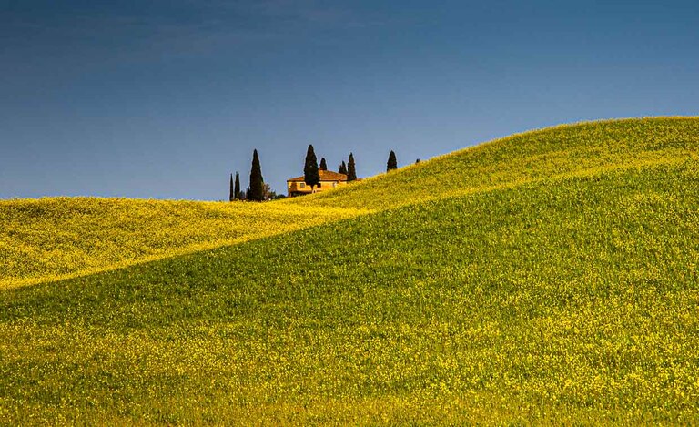 Casa de campo en un paisaje toscano con un campo de colza en flor / © Fotografía: Georg Berg