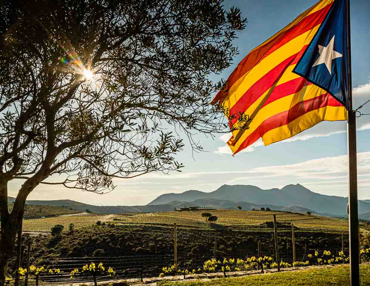 El vino, la Sierra y el mar. Tres bodegas se encuentran en el parque natural del Cap de Creus. La bandera catalana ondea en la bodega de Martín Faixó / © Foto: Georg Berg
