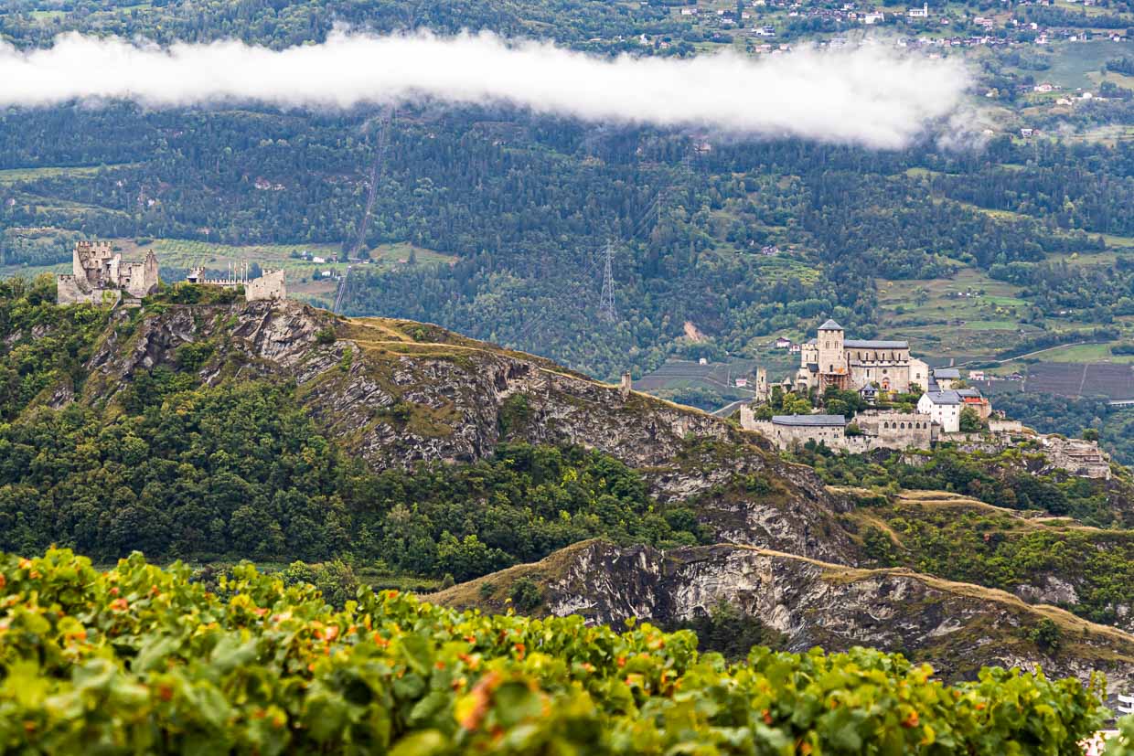 Sion con los castillos de Valère y Tourbillon rodeados de viñedos / © Fotografía: Georg Berg