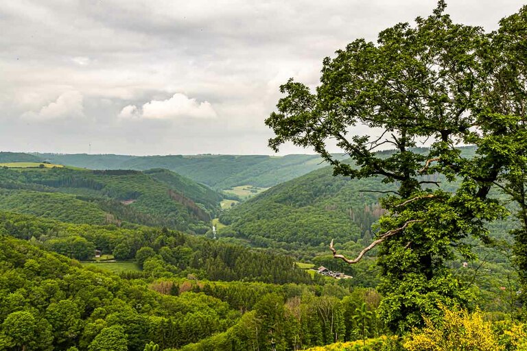Paisaje a orillas del río Sauer en Luxemburgo / © Fotografía: Georg Berg