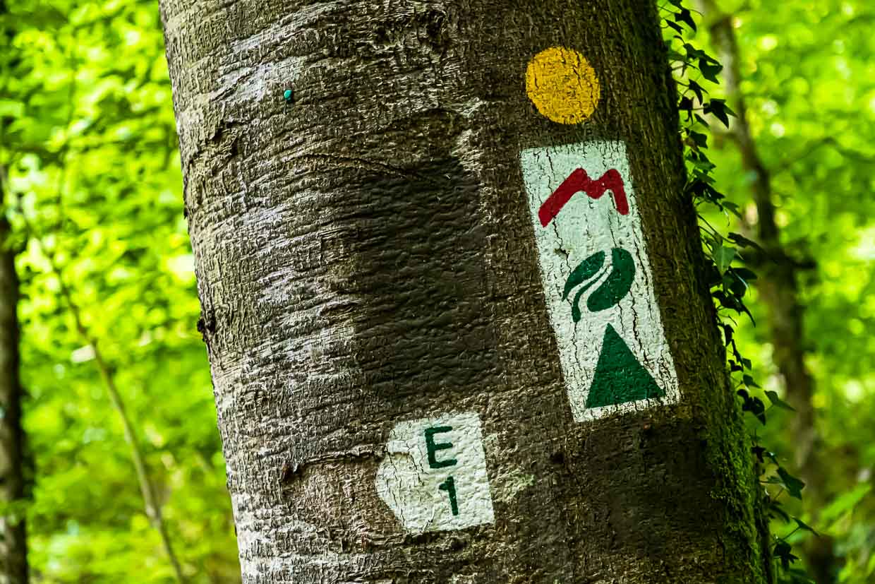 Rutas de senderismo señalizadas en Luxemburgo / © Foto: Georg Berg