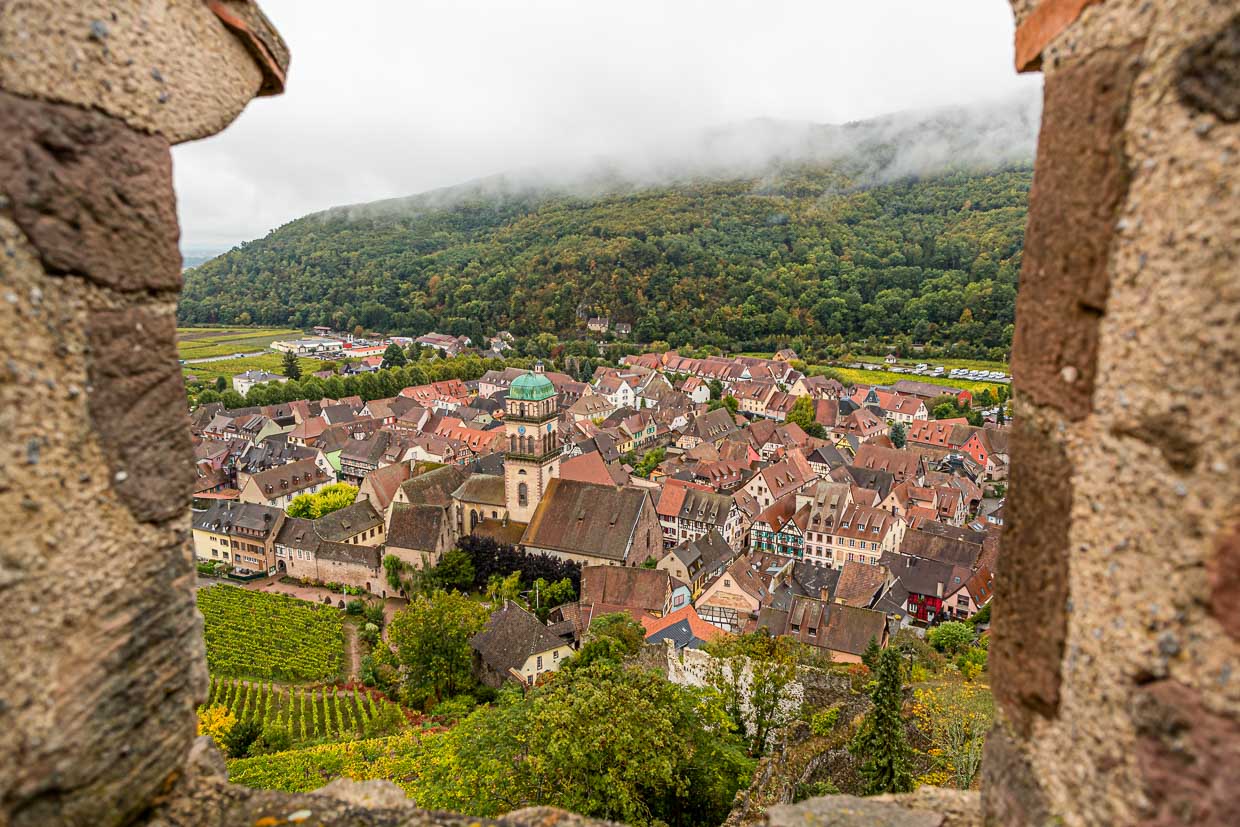 Viñedos, casas con entramado de madera y el castillo caracterizan Kaysersberg, en Alsacia / © Foto: Georg Berg