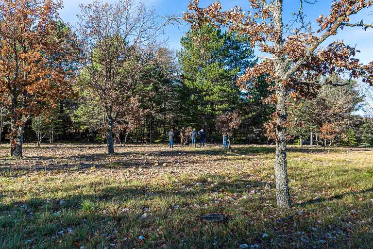En el departamento de Var, los robles se utilizan para el cultivo de trufas. Sólo después de 10 años se pueden recolectar las primeras trufas de un árbol. A la edad de 20-30 años, las trufas se hacen más pequeñas y crecen en las raíces de los árboles / © Foto: Georg Berg
