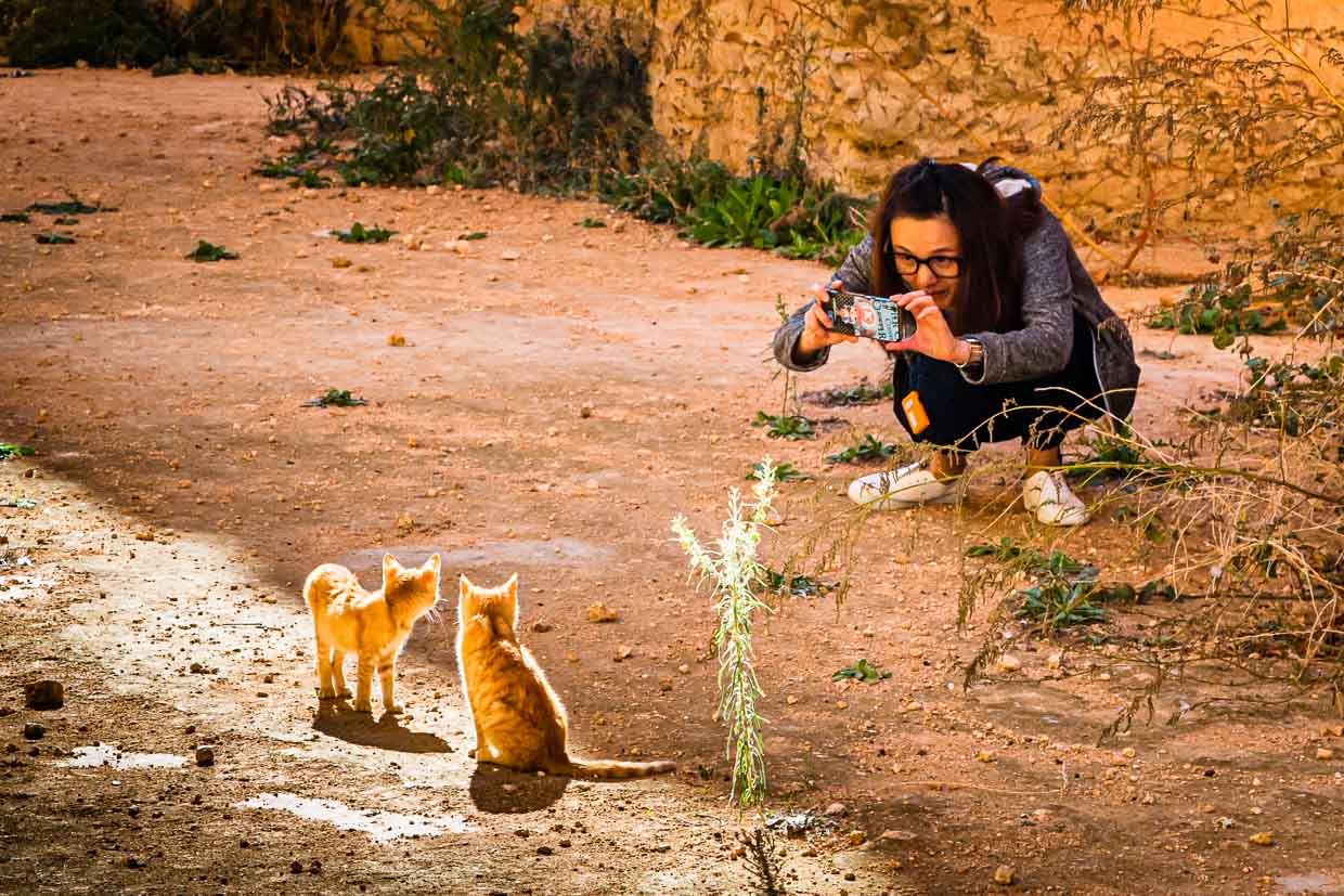 Making-off de una foto de gato. Joven haciendo una foto a unos gatitos en el casco antiguo de Meknes, Marruecos. Seguro que esta foto del gato también se compartió después en las redes sociales / © Foto: Georg Berg