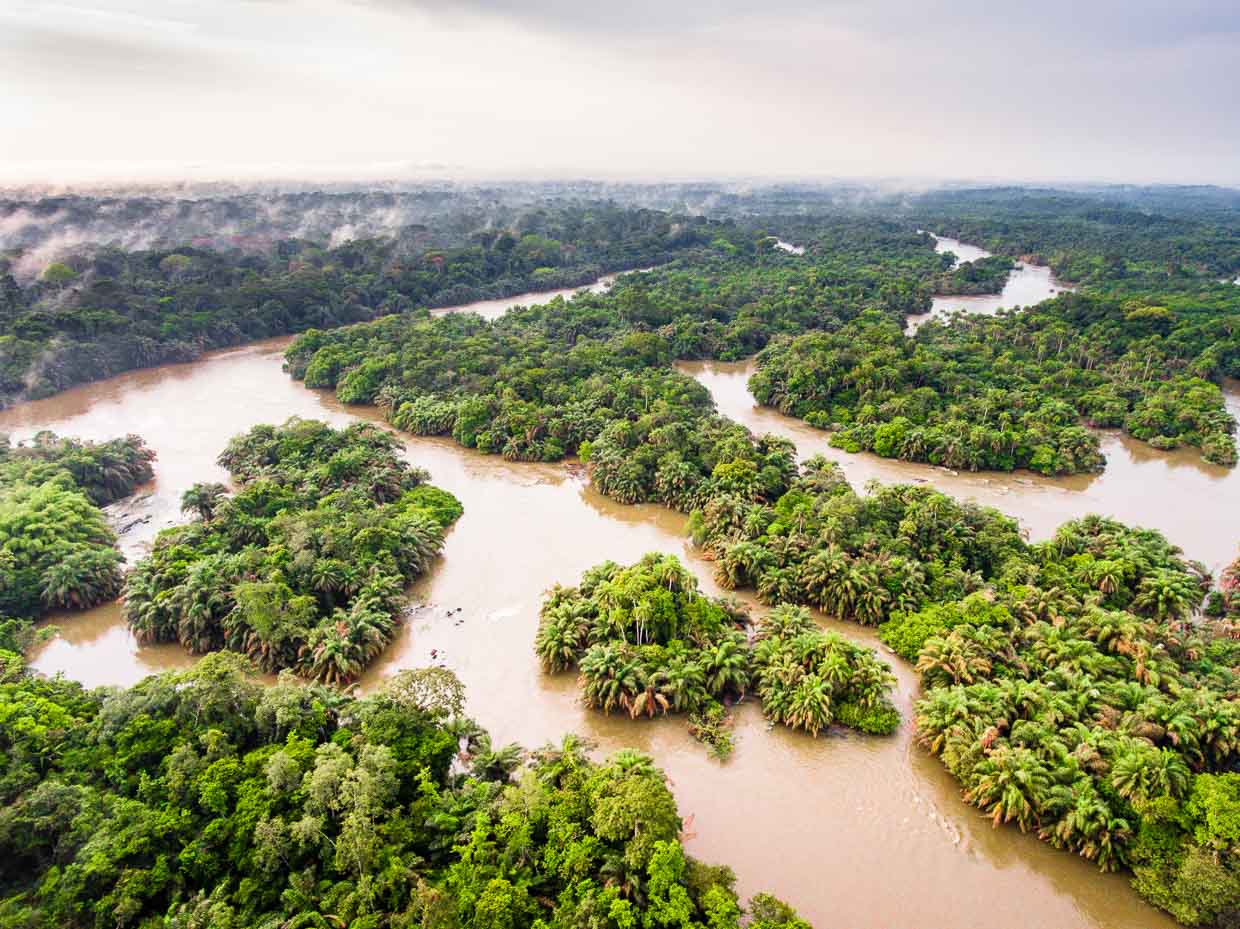 Vista aérea del río Moa en Sierra Leona / © Foto: Georg Berg