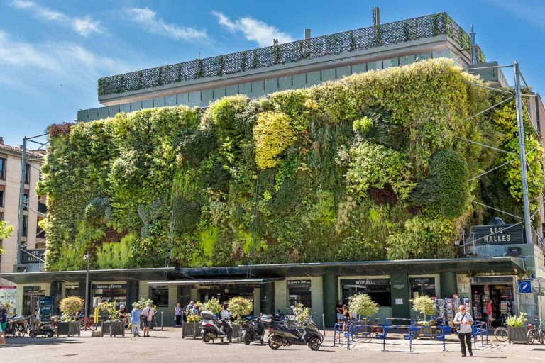 Mercado de Les Halles en Aviñón. El muro vegetal de Patrick Blanc cuenta con un sofisticado sistema de riego y ha desencadenado el auge del verde urbano vertical en todo el mundo. 20 plantas crecen en un metro cuadrado / © Foto: Georg Berg
