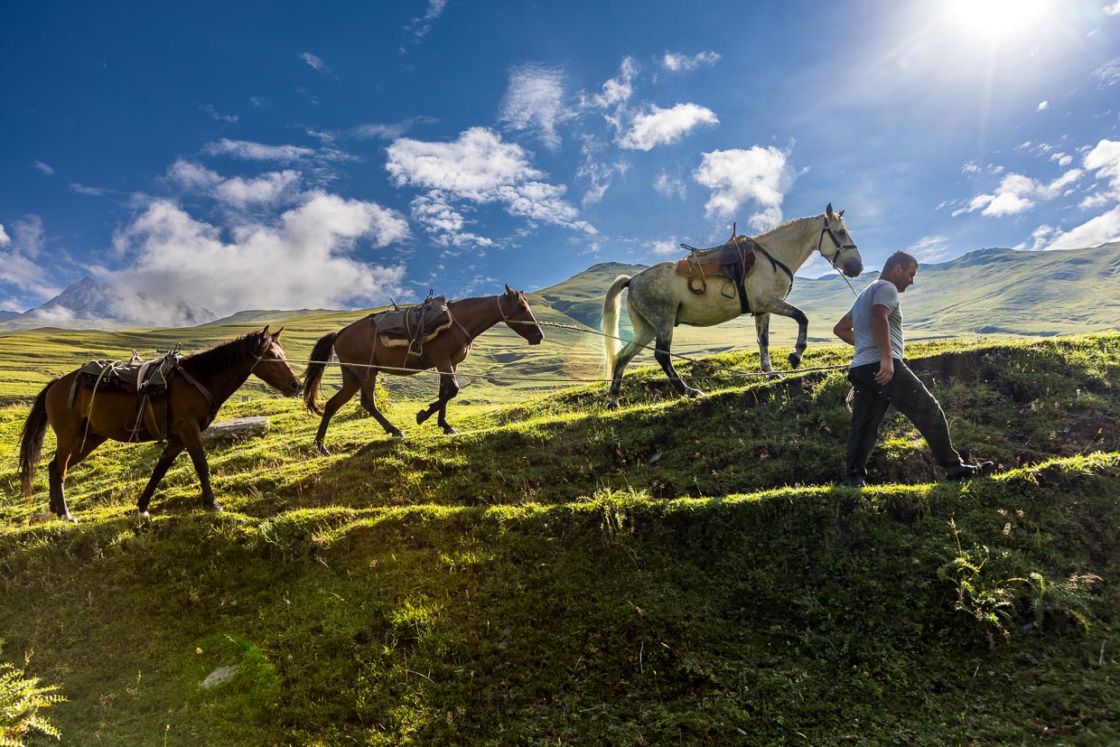 Con caballos de carga por el Cáucaso