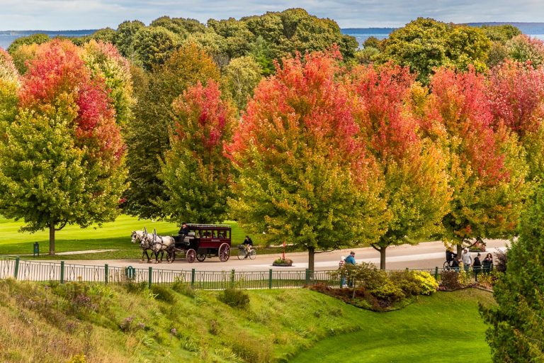 Coche de caballos y árboles de vivos colores otoñales en la avenida Cadotte. El camino de entrada al Grand Hotel Mackinac Island / © Foto: Georg Berg