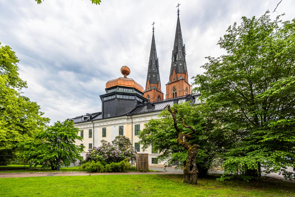 Vista desde el parque de la Universidad de Uppsala del Gustavianum con la nueva cúpula y las agujas de la catedral / © Foto: Georg Berg