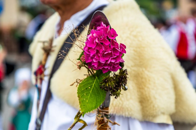 Pala de pastor decorada con flores en el desfile de Wildberg. La pequeña pala situada en el extremo inferior del cayado cumple varias funciones prácticas en la vida cotidiana de un pastor, como guiar al rebaño, arrojar terrones de tierra, hacer señales a los perros pastores, tomar muestras de estiércol, arrancar plantas, cortar plantas venenosas o molestas. La pala de pastor es también un símbolo de la profesión de pastor y a menudo se utiliza como escudo de armas / © Foto: Georg Berg