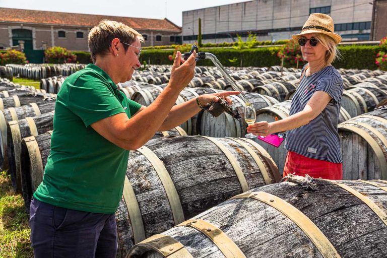 Degustación de "vino nuevo" y vino blanco madurado durante 7 meses en la zona exterior de la planta de producción de Marseillan, Francia. Durante una visita a la planta de producción de Noilly Prat en Marseillan, también se degustan las etapas preliminares de la producción de vermut. Aquí, los vinos blancos se almacenan en el exterior. El vino blanco de la región se almacena durante más de 12 meses en viejas barricas de roble y se expone a los elementos, como el sol y el viento. Un vino blanco que lleva siete meses almacenado en el patio está muy influenciado en su sabor por la constante brisa marina. Cuando el vino nuevo es aún muy ácido y astringente / © Foto: Georg Berg