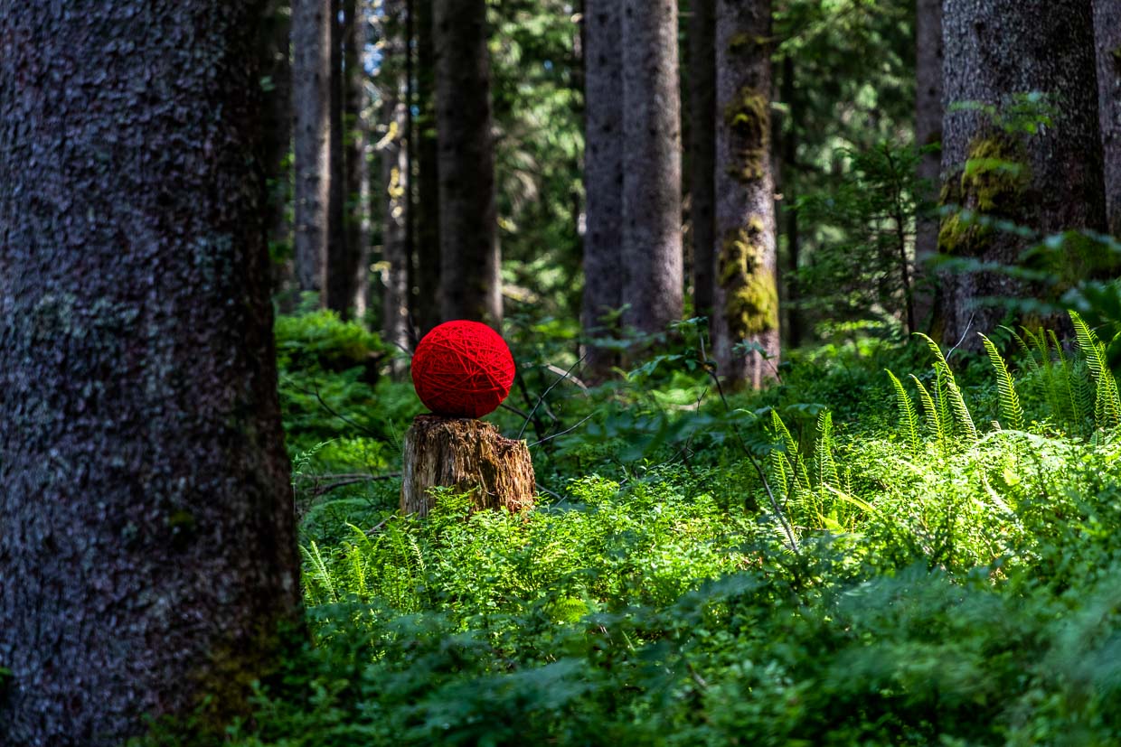 Naturkunstwerk von Marion Strunk aus Deutschland, Fadenskulptur in Rot auf dem Landart Pfad Gerschnialp in Engelberg 2025 / © Foto: Georg Berg